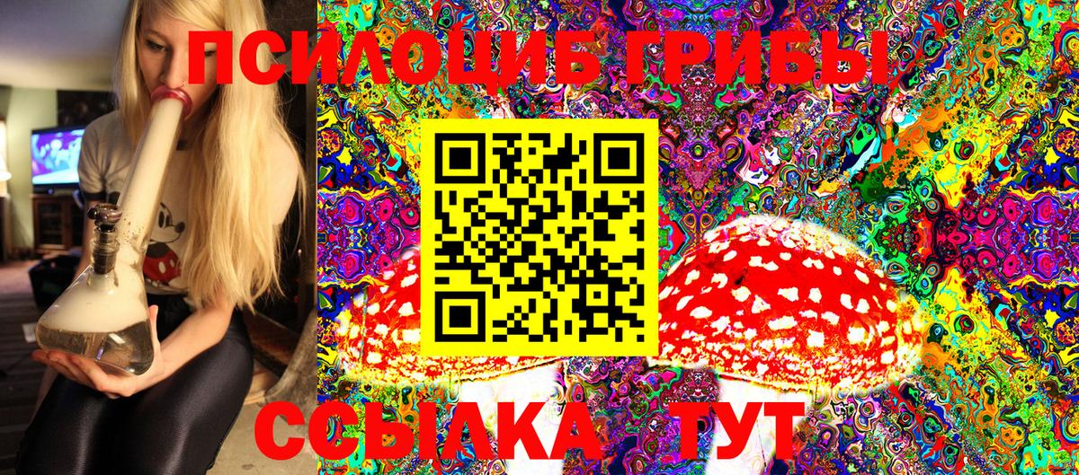 Галлюциногенные грибы Magic Shrooms Киров